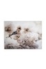 Art For The Home Natural Tranquil Blossoms Wall Art