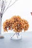 Gallery Direct Orange Autumn Hydrangea With Glass Vase