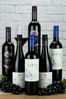 Le Bon Vin Set of 6 World Merlot Red Wine Selection