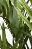 Green Artificial Kentia Palm Plant