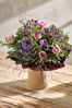 Purple Fresh Flower Bouquet in Hatbox