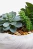 White Artificial Succulent Plants In Marble Effect Pebble