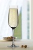 Set of 6 Weinland Champagne Flutes By The DRH Collection