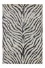 Asiatic Rugs Grey Nova Zebra Rug