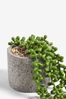 Artificial Trailing Succulent In Grey Pot