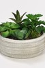 Bayswood Green Faux Succulent Cement Plant Pot