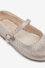 Silver/Gold Glitter Standard Fit (F) Mary Jane Occasion Shoes
