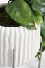 White Artificial Trailing Plant In Pot