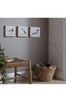 Art For The Home Set of 3 Natural Perched Birds Canvases