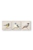 Art For The Home Set of 3 Natural Perched Birds Canvases