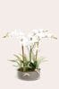 White Artificial Orchid In Glass Pot