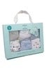 aden + anais Blue Baby Socks Six Pack Gift Set