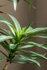 Gallery Direct Green Artificial Six Headed Yucca Tree In Pot