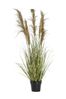 Gallery Direct Green Artificial Five Headed Pampas Grass In Pot