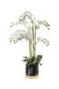 Gallery Home White Artificial Orchid In Pot