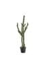 Gallery Home Green Artificial Stetsonia Cactus In Pot
