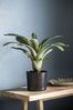Gallery Home Green Artificial Russet Bromelaid Plant In Pot