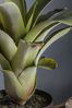 Gallery Home Green Artificial Russet Bromelaid Plant In Pot