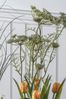 Gallery Home Yellow Artificial Yellow Queen Anne Lace In Pot Artificial Flowers