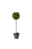 Gallery Direct Green Artificial Tea Tree In Pot Artificial Flowers