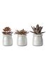 Gallery Home Set of 3 Natural Artificial Succulents In Metallic Pots Artificial Flowers