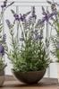 Gallery Direct Green Artificial Lavender Plant In Small Bowl Artificial Flowers