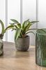 Gallery Direct Green Artificial Agava Plant With Roots In Pot