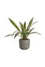 Gallery Direct Green Artificial Agava Plant With Roots In Pot