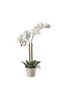 Gallery Home White Artificial Orchid In Ceramic Pot