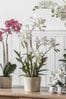 Gallery Direct White Artificial Cycnoches Orchid In Pot
