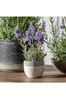 Gallery Home Green Artificial Large Lavender Plant In Pot