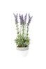 Gallery Home Green Artificial Large Lavender Plant In Pot