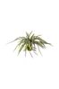 Gallery Home Green Artificial Bostern Fern Hanging Plant