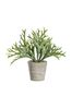 Gallery Home Green Artificial Grass Plant In Cement Pot