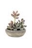 Gallery Home Pink Artificial Large Graptoveria In Cement Bowl