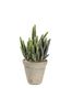 Gallery Home Green Artificial Large Cement Potted Cereus Cactus