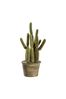 Gallery Home Green Artificial Small Carnegiea Cactus