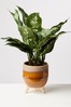 Oliver Bonas Yellow Suelo Ceramic Plant Pot