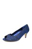 Lunar Blue Dalia Kitten Heel Shoes