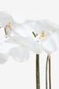 White Artificial Real Touch Orchid In White Ceramic Pot