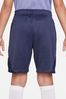 Nike Blue Tottenham Hotspur Strike Dri-FIT Knit Soccer Shorts