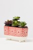 Oliver Bonas Red Yucca Long Ceramic Plant Pot