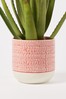 Oliver Bonas Pink Yucca Ceramic Plant Pot