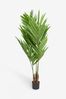 Green Extra Large Artificial Kentia Palm Tree Plant in Black Pot