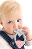 Cheeky Chompers Teething Baby Toys