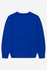 Boys Cotton Long Sleeve Bear Sweater in Blue