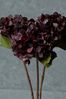 Abigail Ahern Purple Hydrangea Damson Bunch