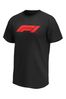 Fanatics Black Formula 1 Essentials Logo Graphic T-Shirt