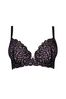 Pour Moi Black Padded Romance Moulded Plunge Push Up Bra