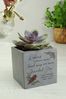 Personalised Robin Memorial Concrete Plant Pot by PMC